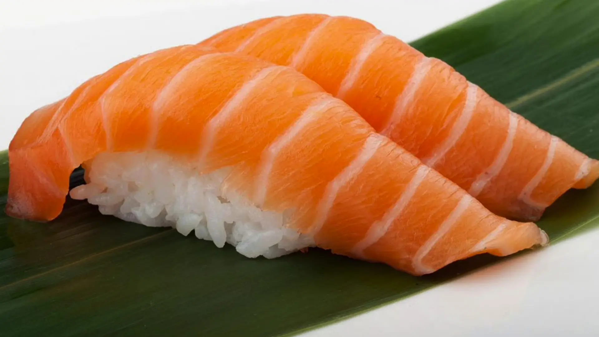 Koya-Sushi-Japanese-Restaurant-Salmon-Sushi-Fontana Salmon Sushi from Koya Sushi, a Japanese Restaurant in Fontana